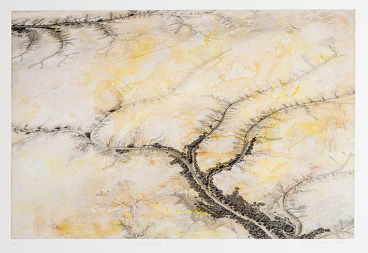 Silvi Glattauer 'Tidal Flats 1' image 0