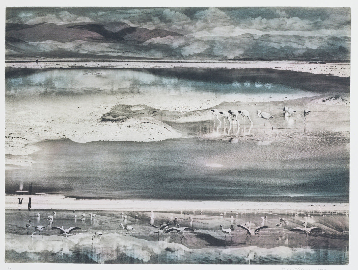 Silvi Glattauer 'Renegotiating the Salt Flats' image 0