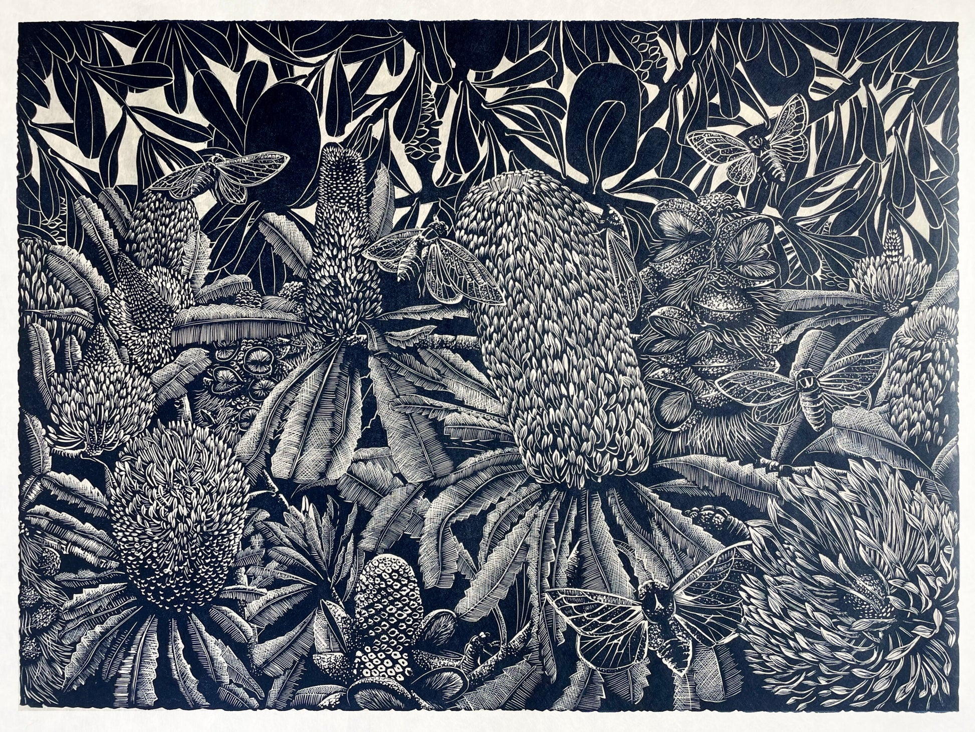 Peta West 'Rhythm of Summer' image 0