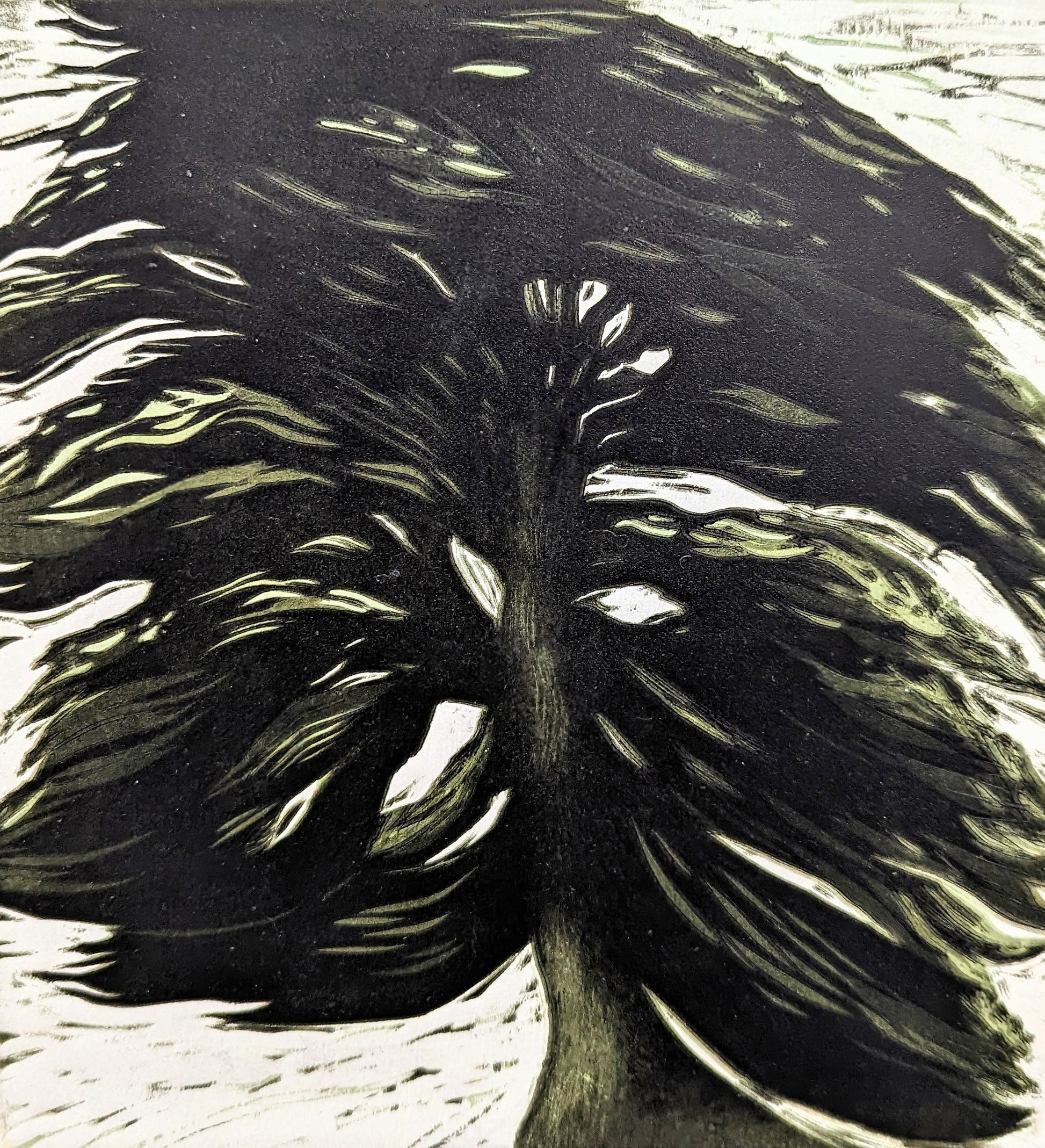 Carolyn Graham 'Hawthorn Tree' image 0