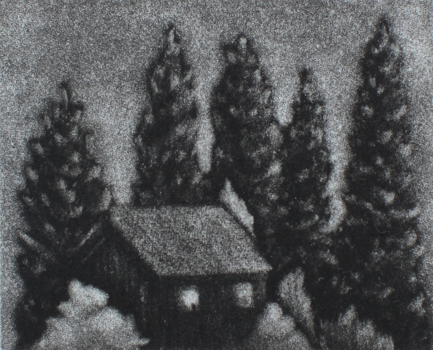 Kyla Cresswell 'A light in the Forest' image 0