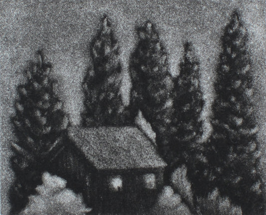 Kyla Cresswell 'A light in the Forest' image 0