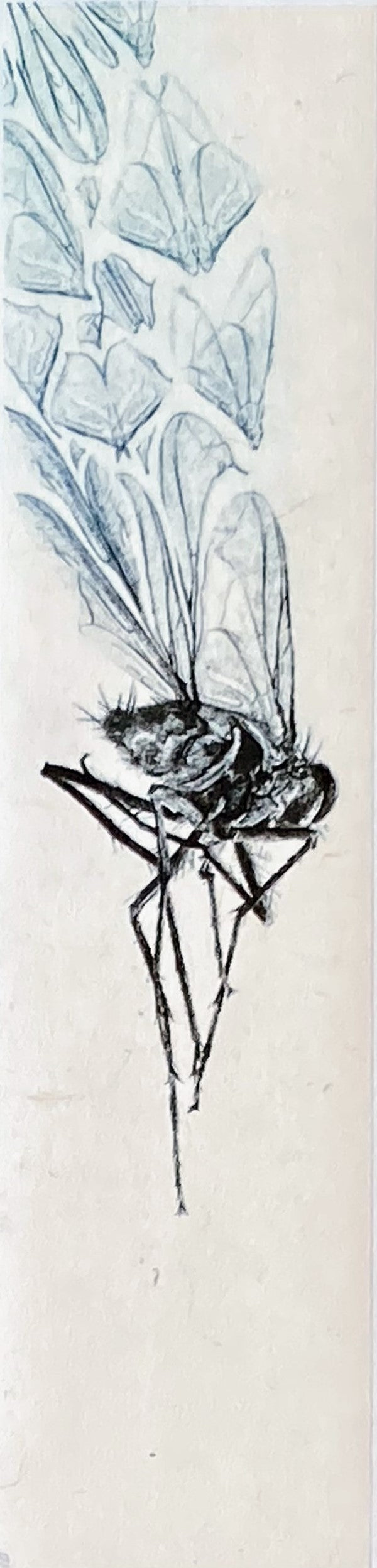 Lana De Jager 'Fly' image 0