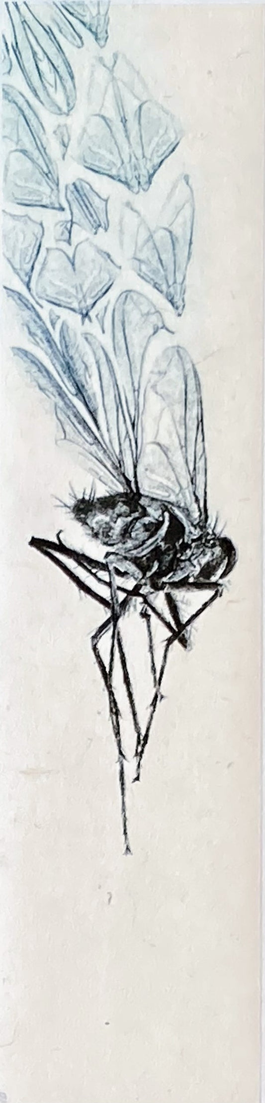 Lana De Jager 'Fly' image 0