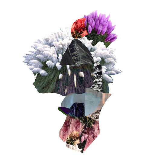 May Bluebell 'Boom' image 0