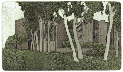 Damon Kowarsky 'Salk' image 0