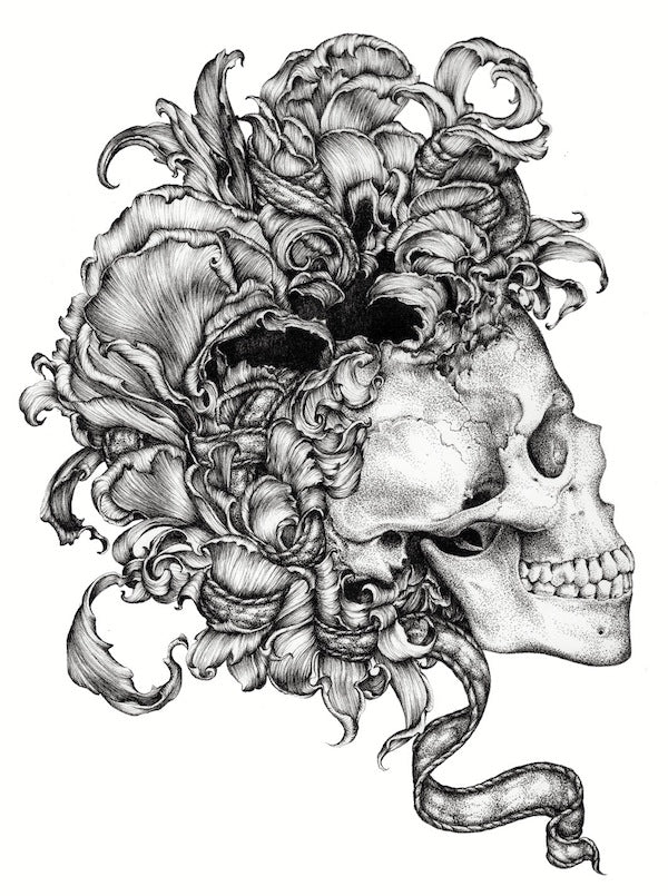 Lucy Hardie 'Memento Mori' image 0