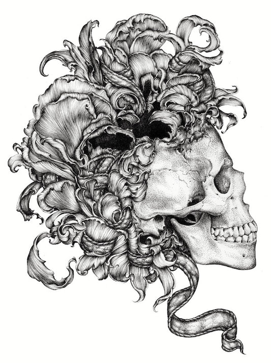 Lucy Hardie 'Memento Mori' image 0