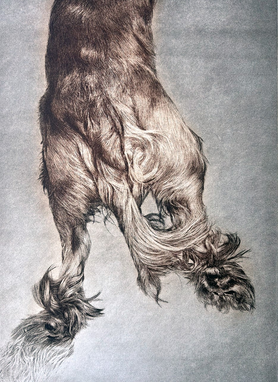 Lana De Jager 'Spaniel' image 0