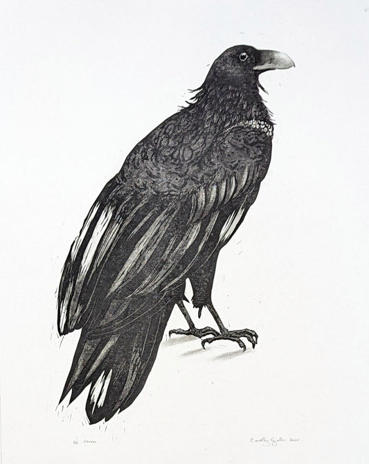 Carolyn Graham 'Raven' image 0