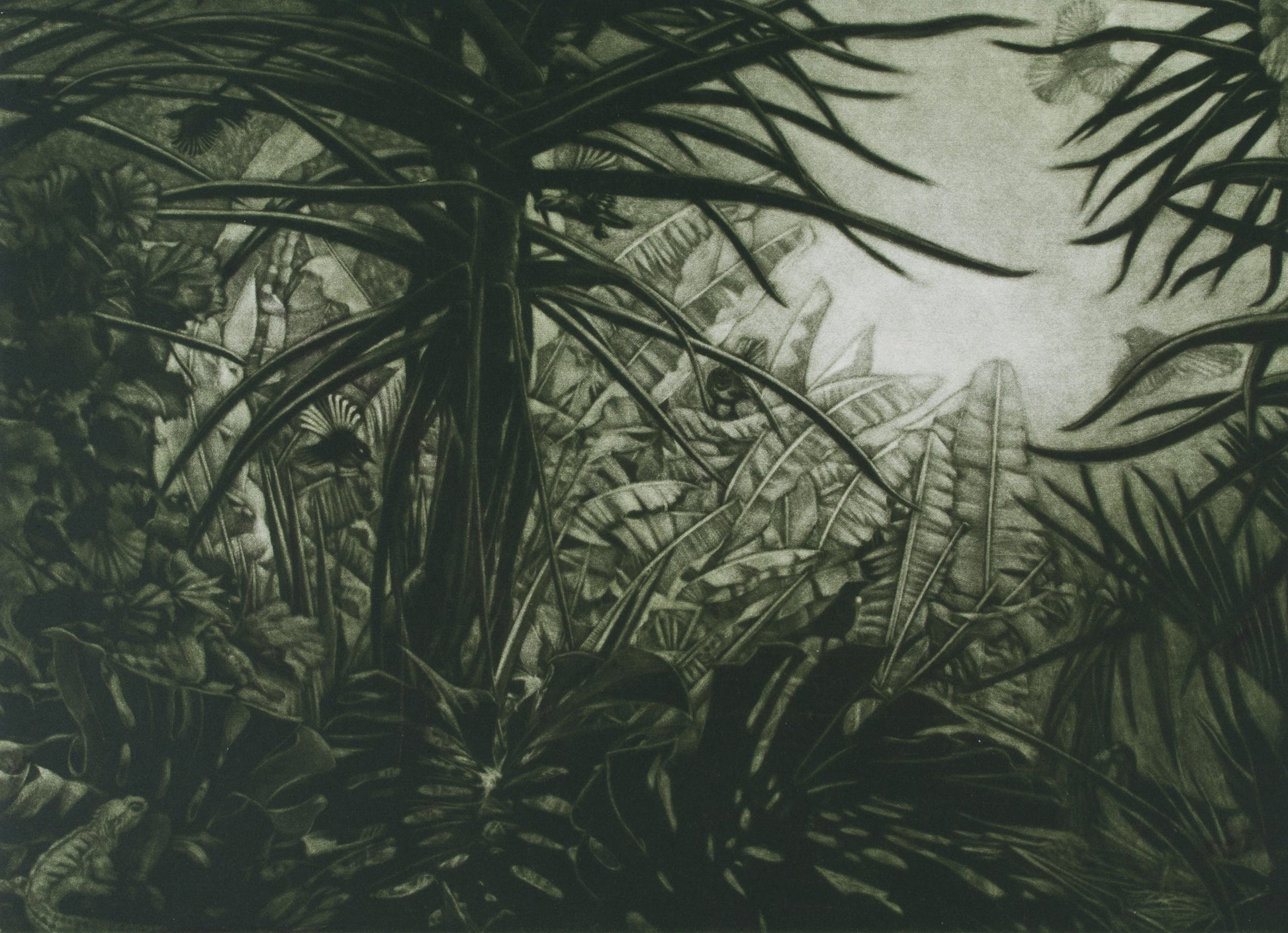 Nan Mulder 'Towards Strangeness' image 0