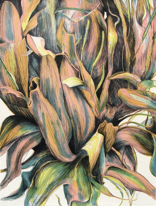 Tony Ameneiro  'Gymea Lily 2nd state' image 0