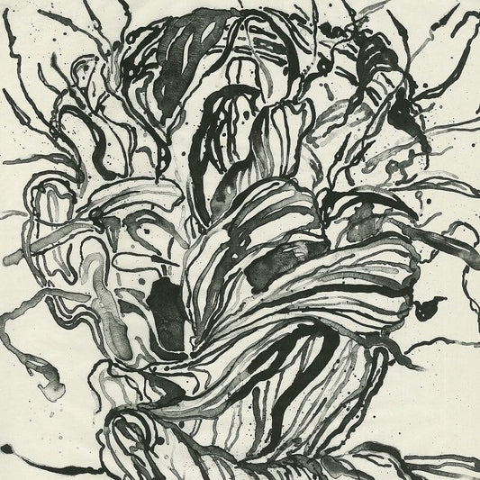 Tony Ameneiro  'Floral Head' image 0