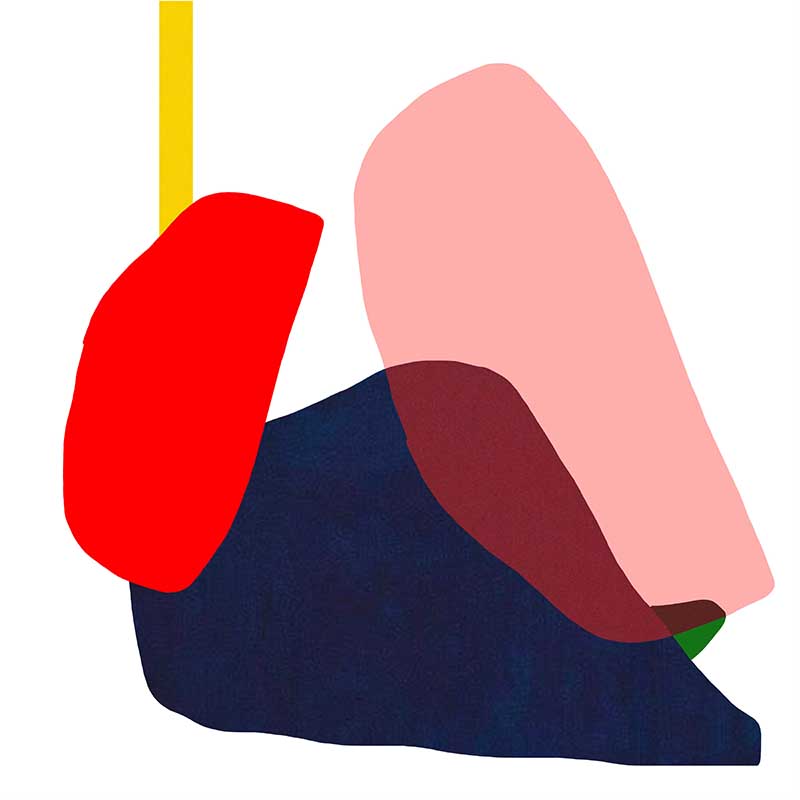 May Bluebell 'Primary Home' image 0