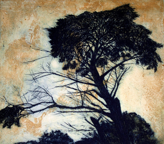 Robyn Rayner 'Long Way Home' image 0