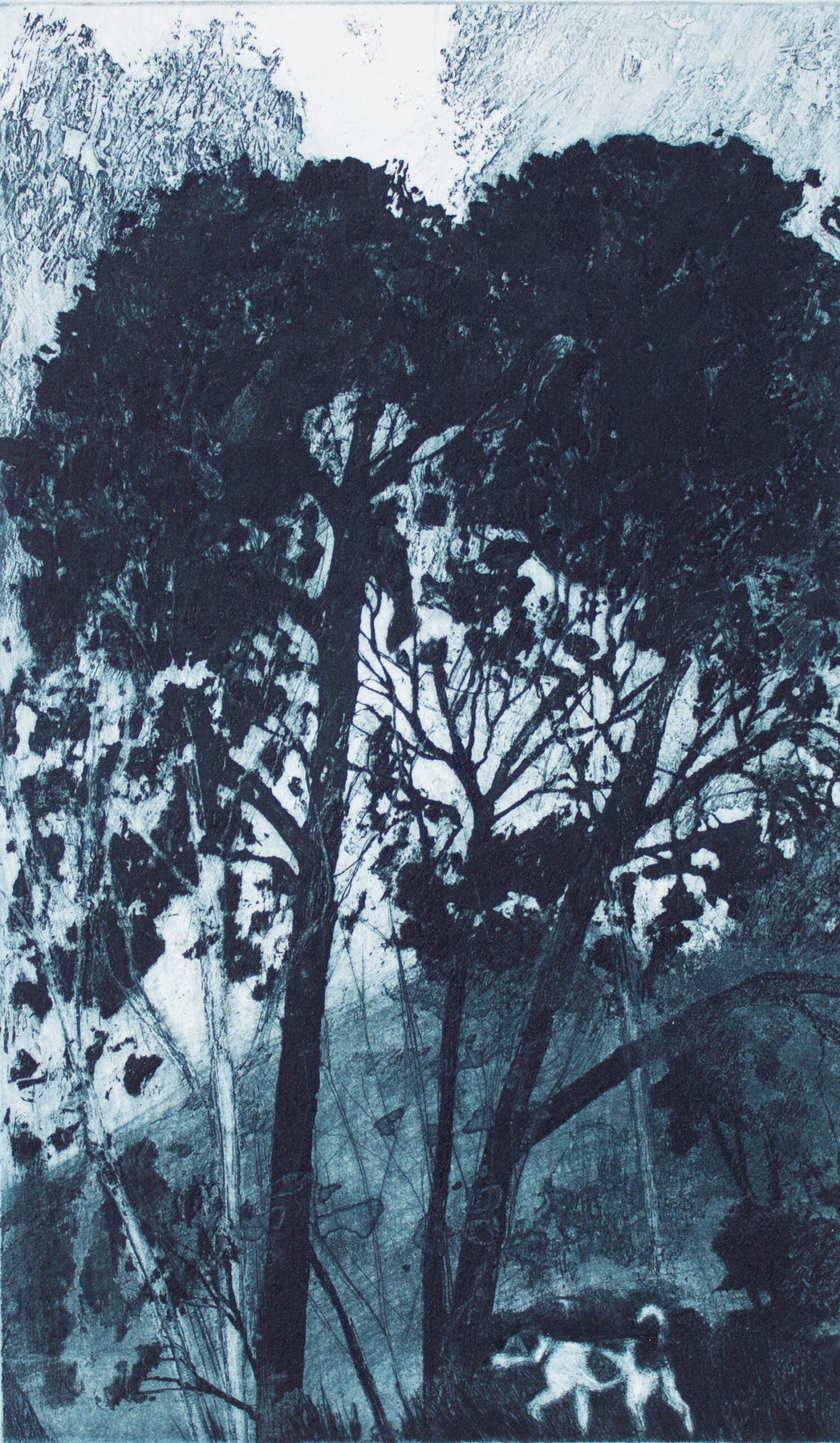 Robyn Rayner 'Dog in the Fog' image 0