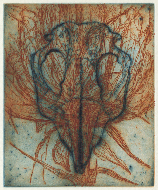 Tony Ameneiro  'Wombat Skull with Lily' image 0