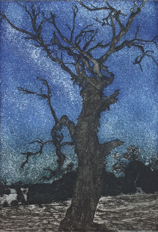 Kevin Foley 'Starry Night Mia Mia' image 0