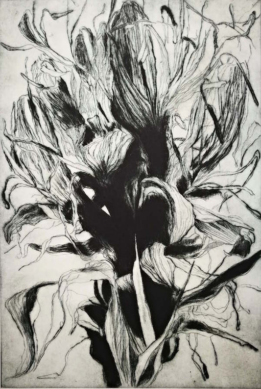 Tony Ameneiro  'Lily Head 4' image 0