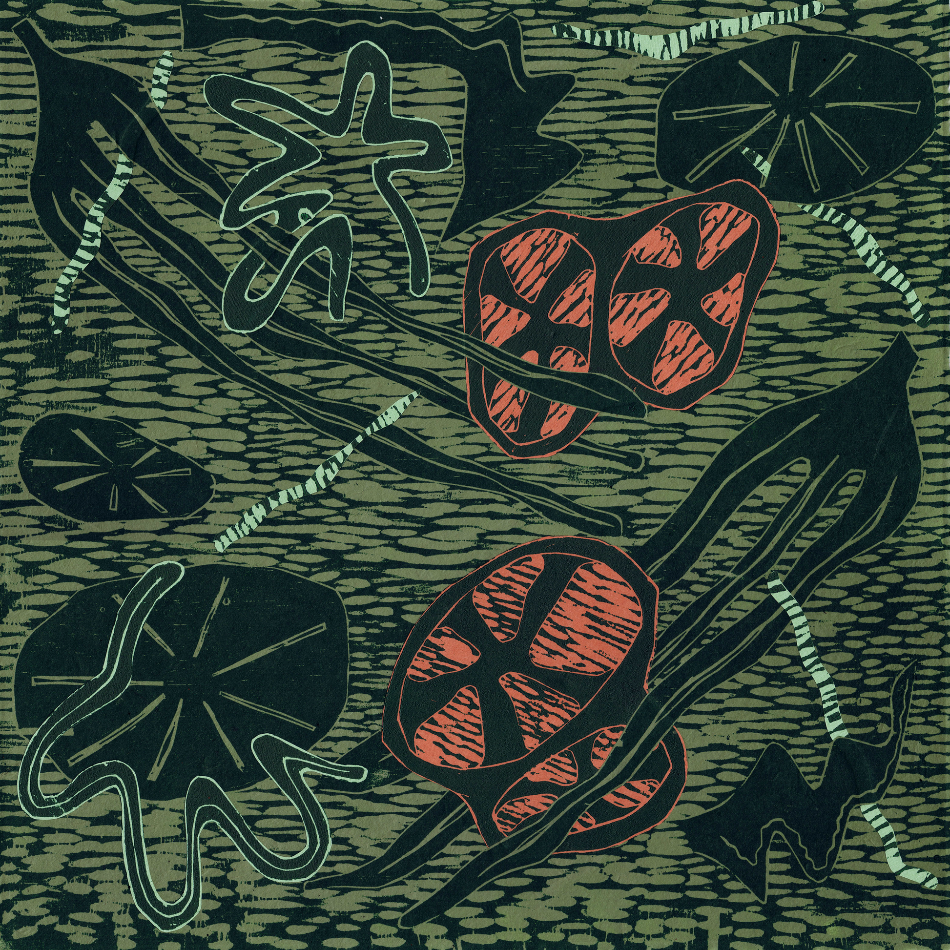 Vivienne Adeney 'Seagrass' image 0