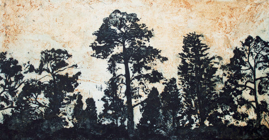 Robyn Rayner 'Eastern Park, Looking West' image 0