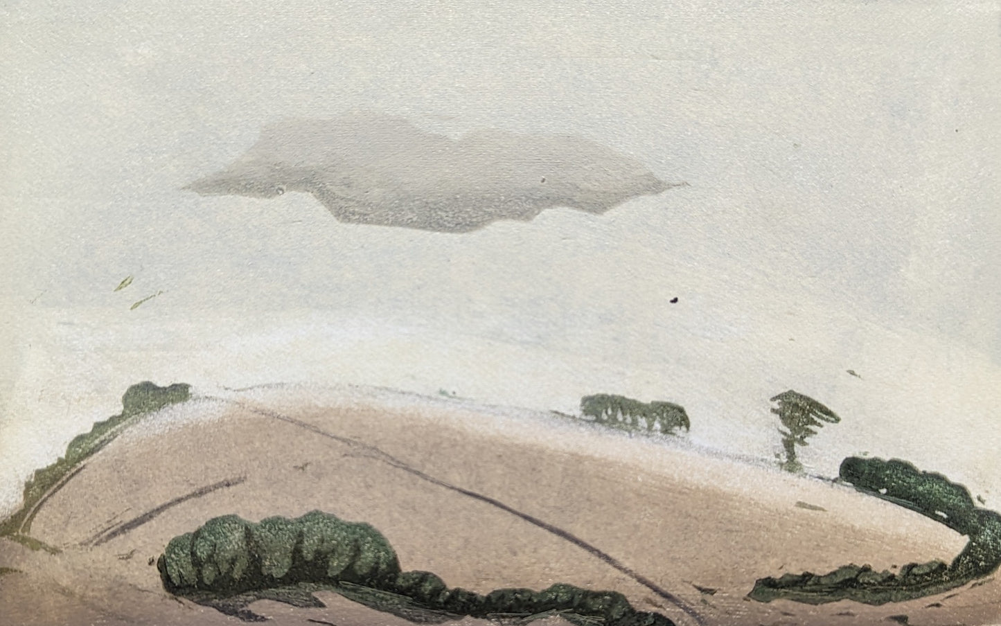 Carolyn Graham 'Rain Cloud' image 0