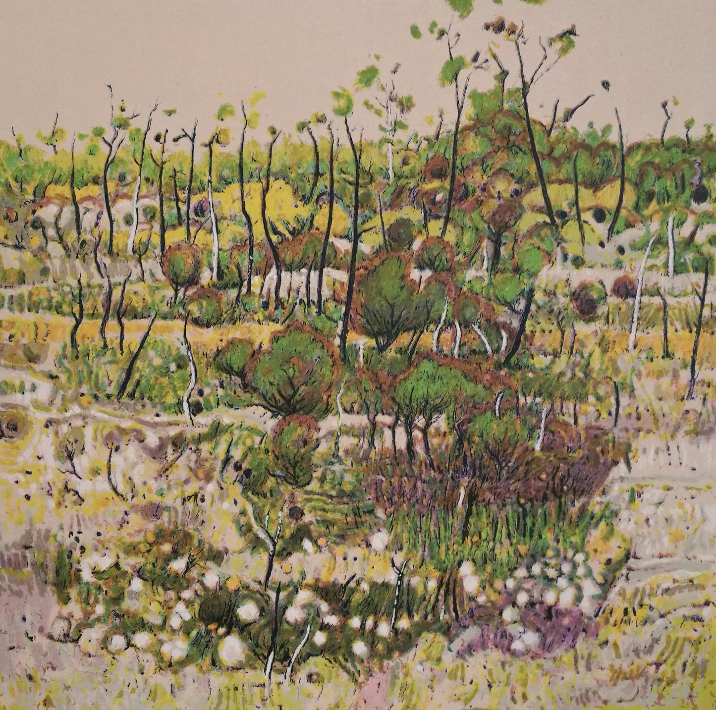 Clem Millward 'Southern Heath' image 0