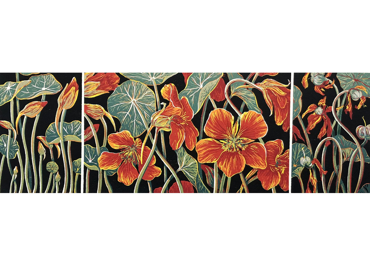 Anna Curtis 'Nasturtiums I'