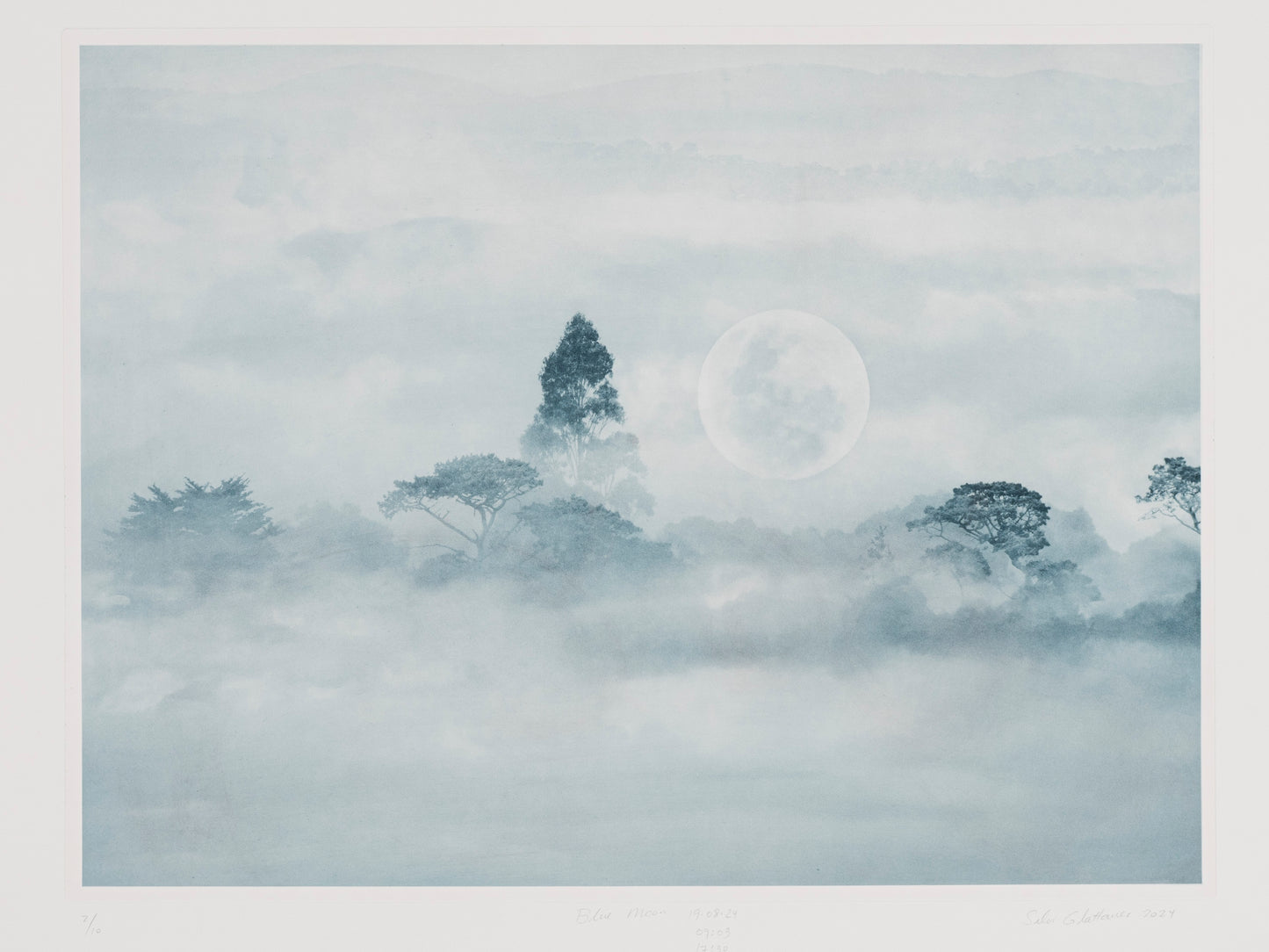 Silvi Glattauer 'Blue Moon'