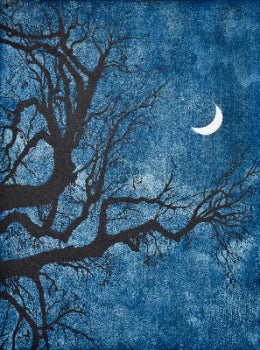 Elizabeth Hickey 'Crescent Moon'