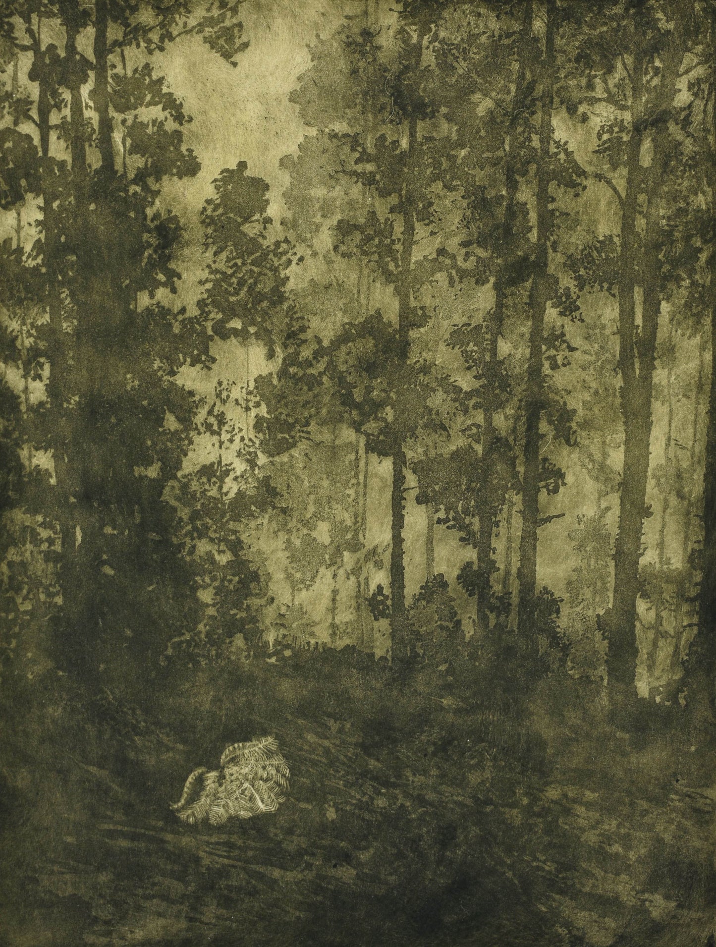 Elizabeth Hickey 'Forest Bathing'