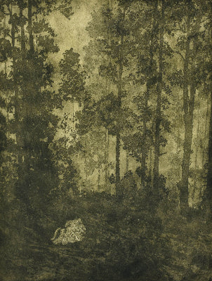 Elizabeth Hickey 'Forest Bathing'