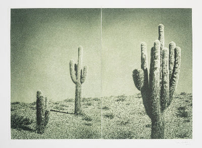 Silvi Glattauer 'In the Shade of a Cactus 1'