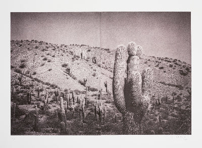 Silvi Glattauer 'In the Shade of a Cactus 5'