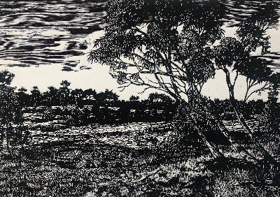 Chris Lawry 'Finke River with wheel chair'