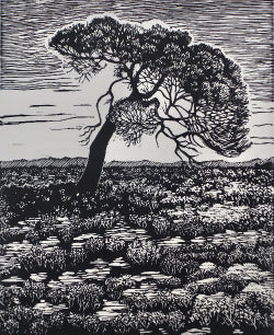 Chris Lawry 'Here starts the Outback'