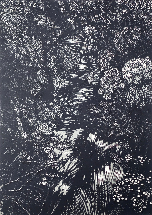Chris Lawry 'Looking down on the Bemm River'