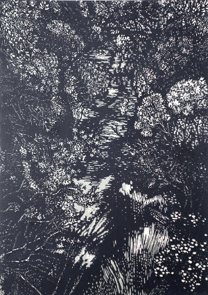 Chris Lawry 'Looking down on the Bemm River'