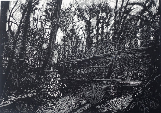 Chris Lawry 'Mallacoota Forest 12 months after the fire 2'