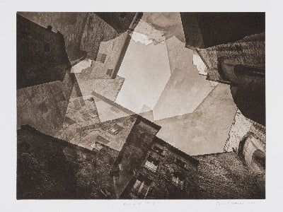 Silvi Glattauer 'Looking up falling in'