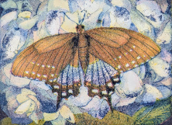 Jutta Votteler 'Schmetterlingsparadies'