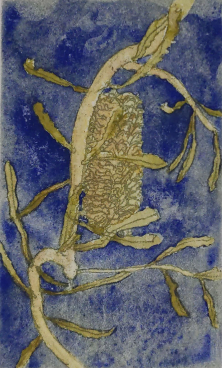 Max Miller 'Banksia'
