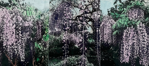 Susan Baran 'Botanic Gardens II'