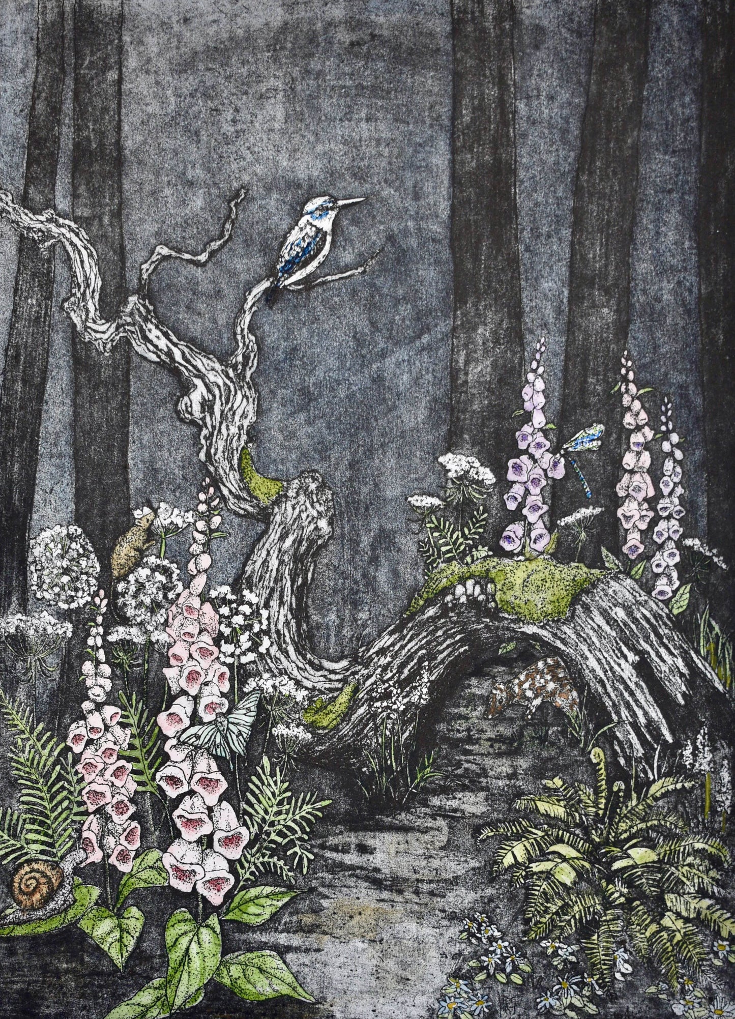 Elizabeth Hickey 'To Wander Through the Forest in search of Mystery'