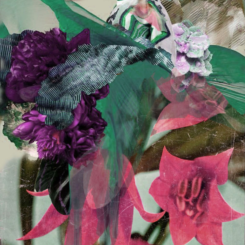 May Bluebell 'Abstract Floral' image 0