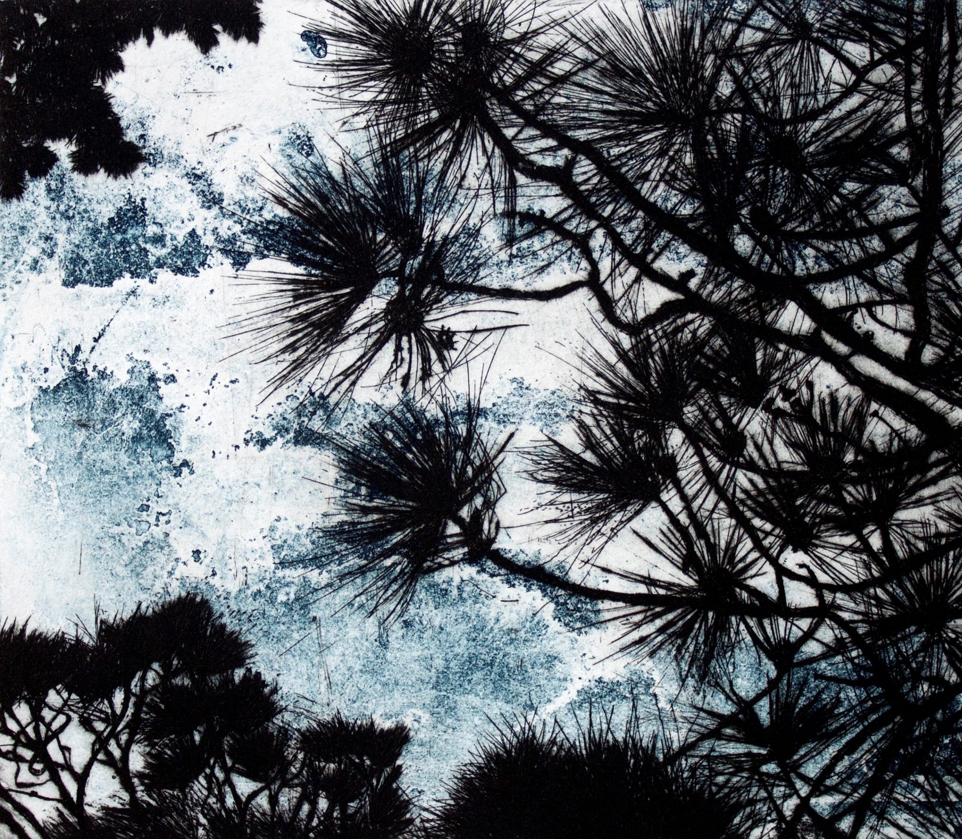 Robyn Rayner 'Pinaceous' image 0