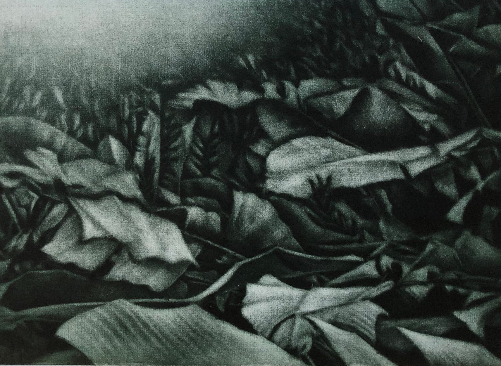 Nan Mulder 'Whispering Leaves' image 0