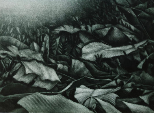 Nan Mulder 'Whispering Leaves' image 0