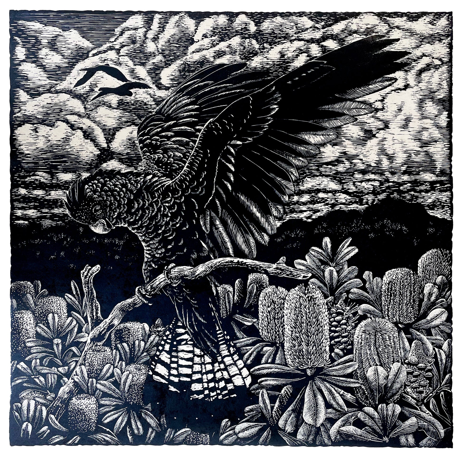 Peta West 'Alight' image 0