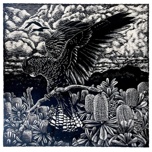 Peta West 'Alight' image 0